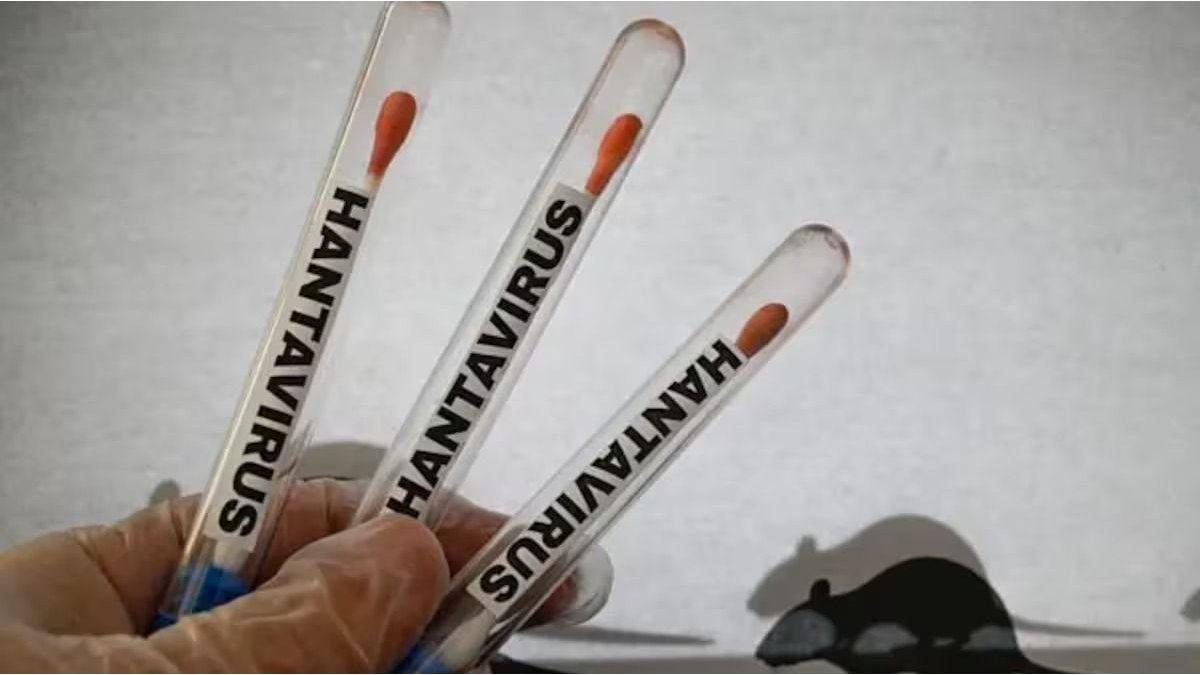 hantavirus